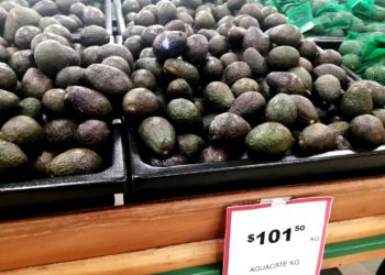 Kilo de aguacate rebasa los $100 y continuaría subiendo