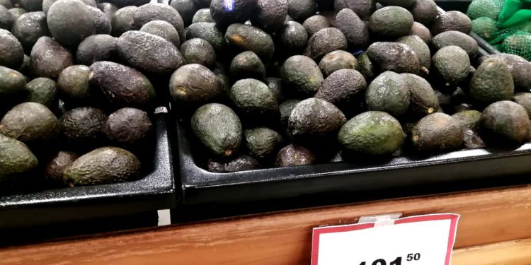 Kilo de aguacate rebasa los $100 y continuaría subiendo