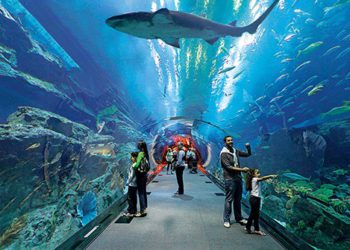 El ahora Aquarium de Veracruz reabre sus puertas al público