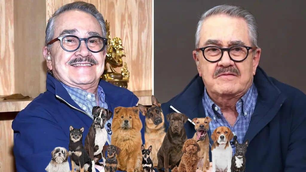 Pedro Sola bajo fuego: Video desata indignación por polémicos dichos contra los perros en Ventaneando