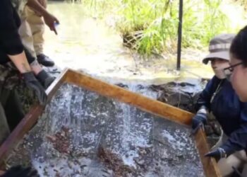Fosa clandestina en Zacapu, Michoacán: Hallaron 1,600 dientes de leche y exigen intervención de la FGR
