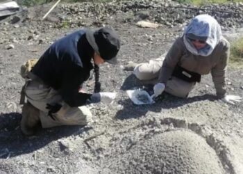 Fosa clandestina en Zacapu, Michoacán: Hallaron 1,600 dientes de leche y exigen intervención de la FGR