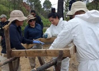 Fosa clandestina en Zacapu, Michoacán: Hallaron 1,600 dientes de leche y exigen intervención de la FGR