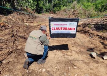 Desmontan más de 14 mil m² de selva en Playa del Carmen; Profepa clausura el predio