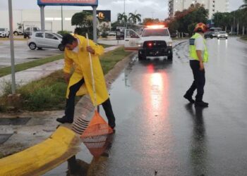 Playa del Carmen bajo el agua: Gobierno municipal despliega brigadas de emergencia ante intensas lluvias