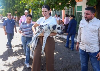 🐾 Ocho lomitos son trasladados al CENCAAZ tras denuncia ciudadana