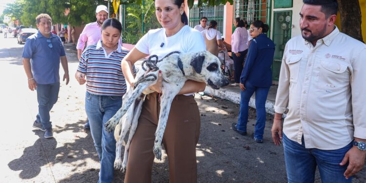 🐾 Ocho lomitos son trasladados al CENCAAZ tras denuncia ciudadana