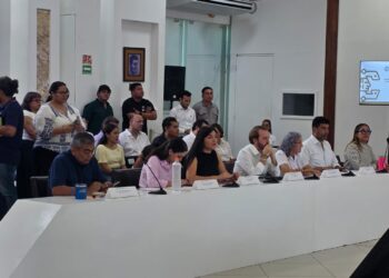 Designan a Berenice Zamudio al frente del Órgano Interno de Control en Playa del Carmen