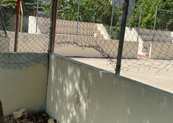 Crecen los reportes de animales abandonados en Playa del Carmen