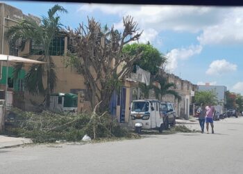 Dejan árbol cortado sobre avenida de Villas del Sol durante tres días; vecinos denuncian obstrucción