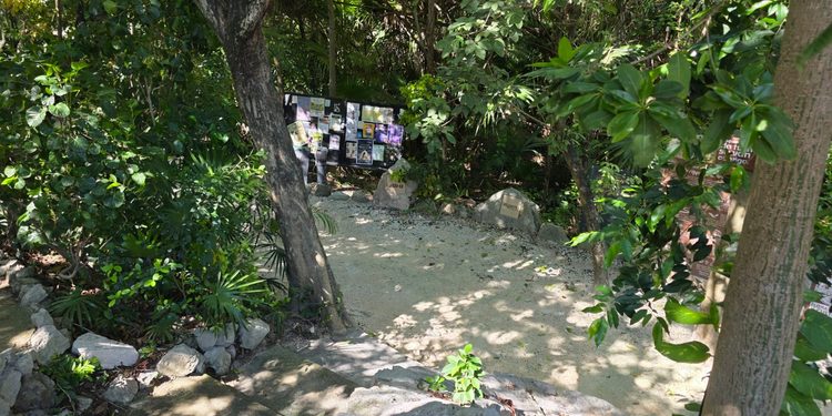Arte, talleres y bienestar: Parque La Ceiba alista actividades para toda la familia
