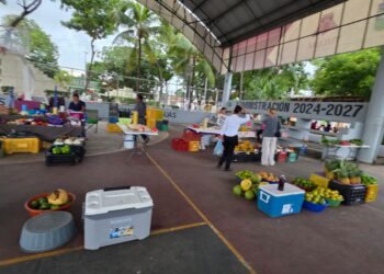 Tulum abre espacio a productores de Bacalar: venderán frutas y verduras frescas cada domingo