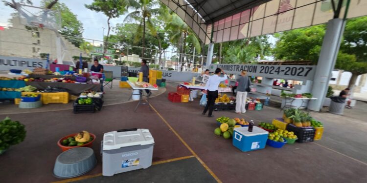 Tulum abre espacio a productores de Bacalar: venderán frutas y verduras frescas cada domingo