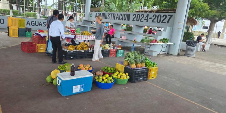 Tulum abre espacio a productores de Bacalar: venderán frutas y verduras frescas cada domingo