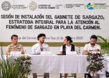 Playa del Carmen instala Gabinete de Atención al Sargazo; reportan 35 mil toneladas recolectadas