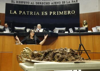 Mayuli Martínez lleva 20 kilos de sargazo al Senado y exige presupuesto para enfrentar crisis en Quintana Roo