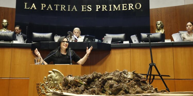 Mayuli Martínez lleva 20 kilos de sargazo al Senado y exige presupuesto para enfrentar crisis en Quintana Roo