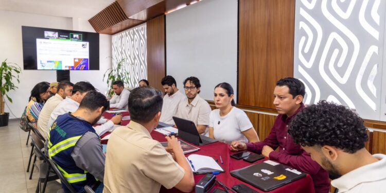 Marina y autoridades de Playa del Carmen afinan estrategia para anticipar arribos de sargazo