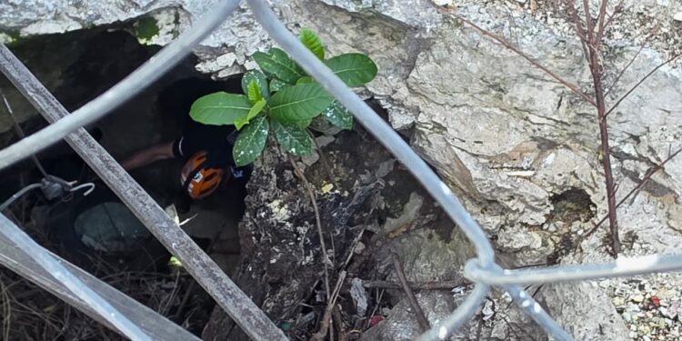 Realizan jornada de limpieza y rescate de cenote urbano en la colonia Ejido de Playa del Carmen