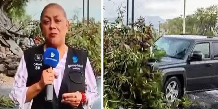 Atropellan en vivo a reportera y camarógrafo de Gamavisión en Monterrey