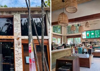 ¿Por qué cerró Starbucks en la Zona Hotelera de Tulum? Las claves de la crisis turística